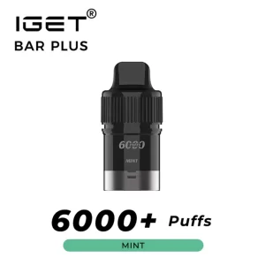 Mint IGET Bar Plus Pod