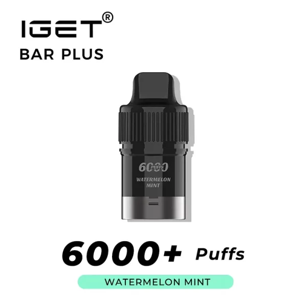 Watermelon Mint IGET Bar Plus Pod